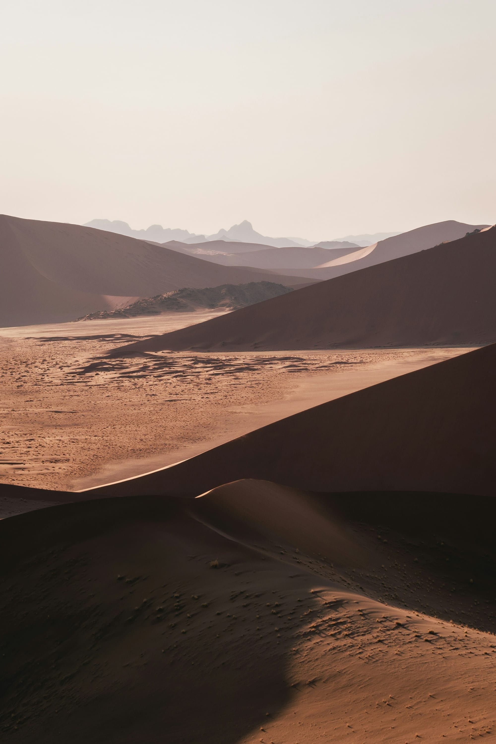 Into the Oldest Desert: Why Namibia Is the Most Extraordinary Journey You Haven't Taken Yet