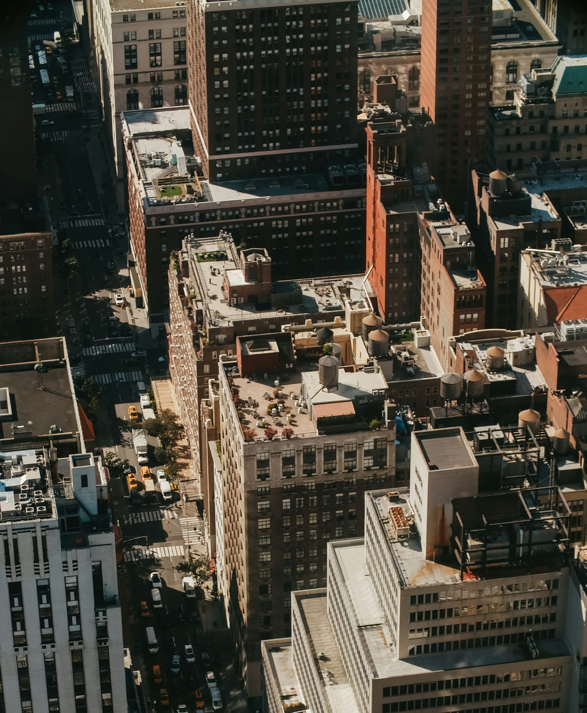 Above It All: New York City Seen, Felt, and Understood From the Top Down