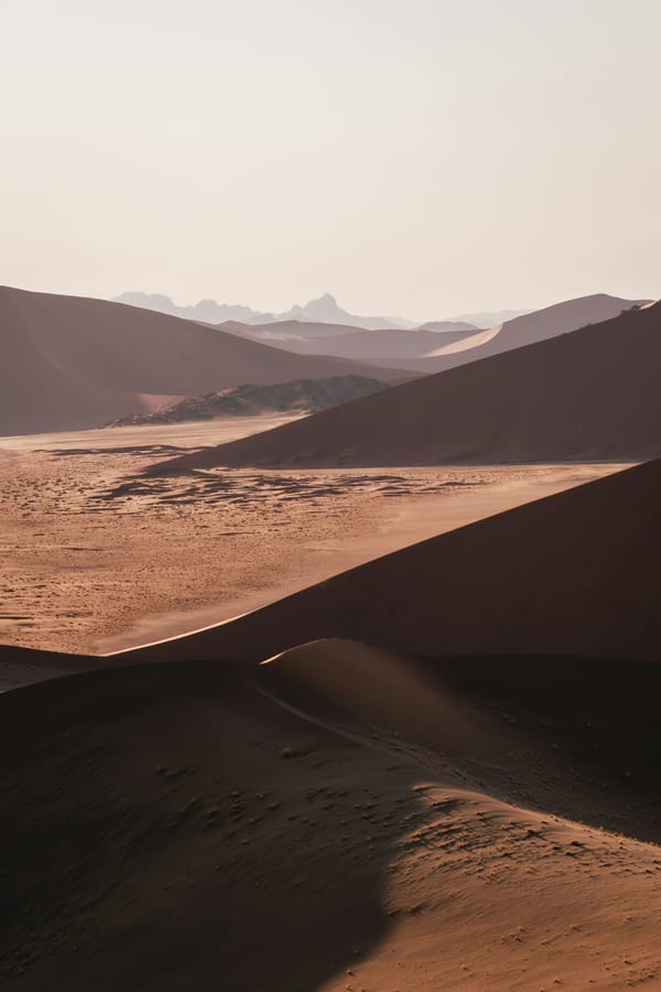 Into the Oldest Desert: Why Namibia Is the Most Extraordinary Journey You Haven't Taken Yet